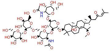 Sarasinoside H2